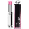 Dior Addict Lacquer Stick 487 Rossetto